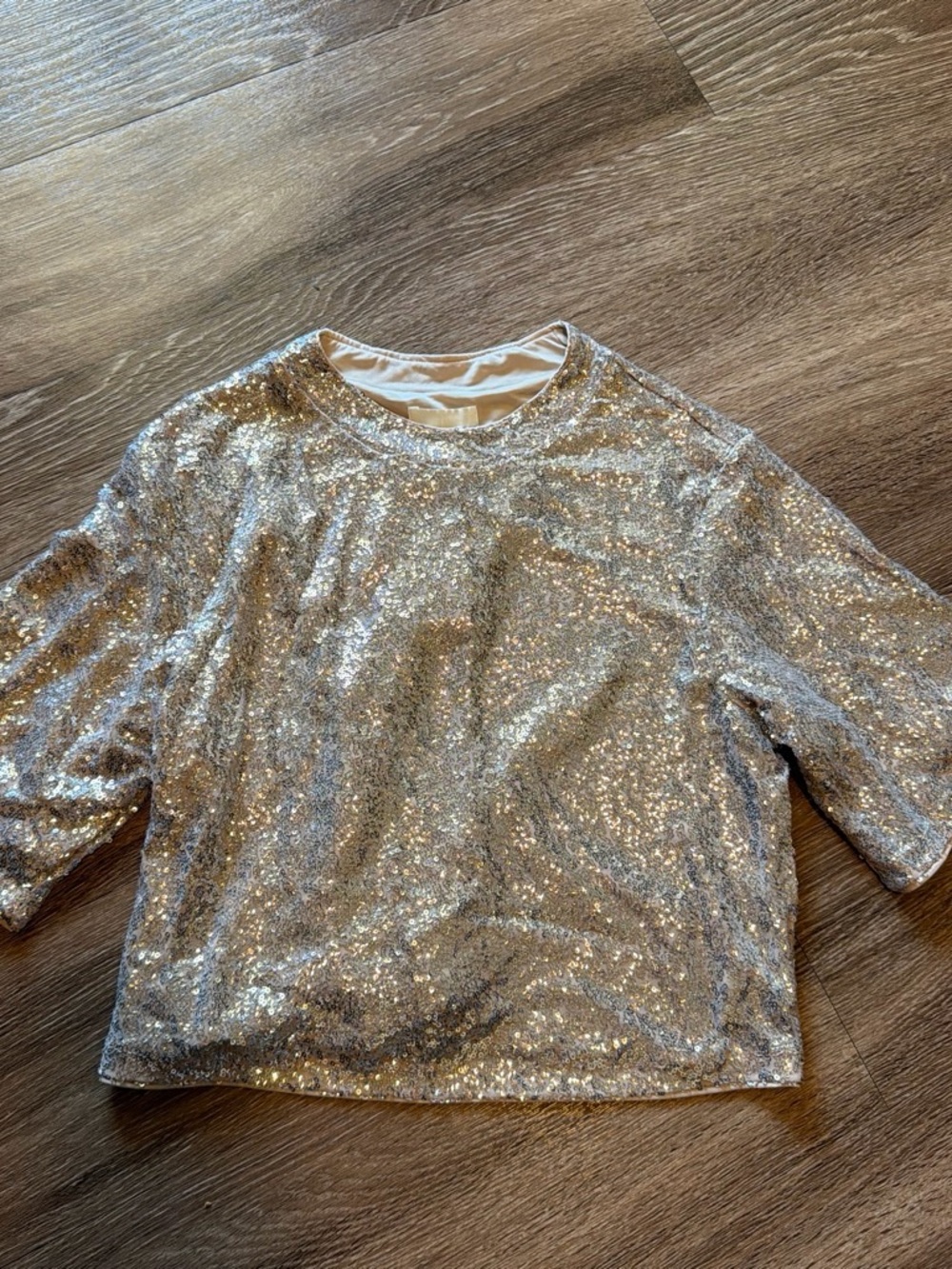 H&M Silver Sequin Cropped Short-Sleeve Top